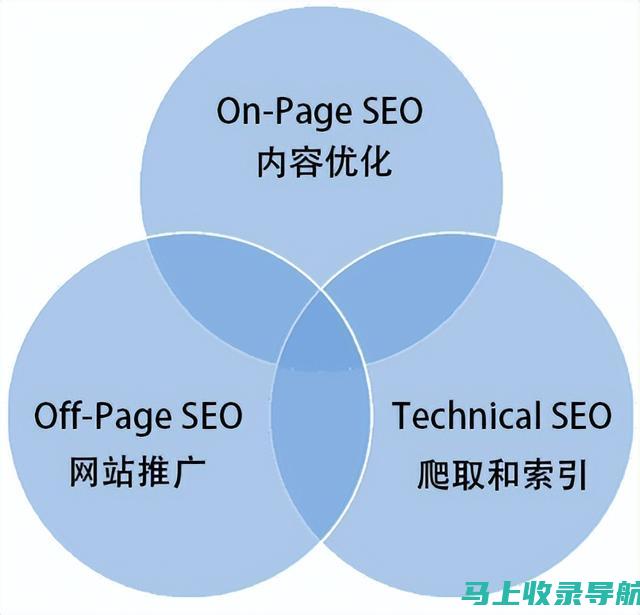 SEO入门必读：搜索引擎优化基础解析